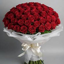 Букет 101 Красная роза Блэк Мэджик в Журавлёвке
