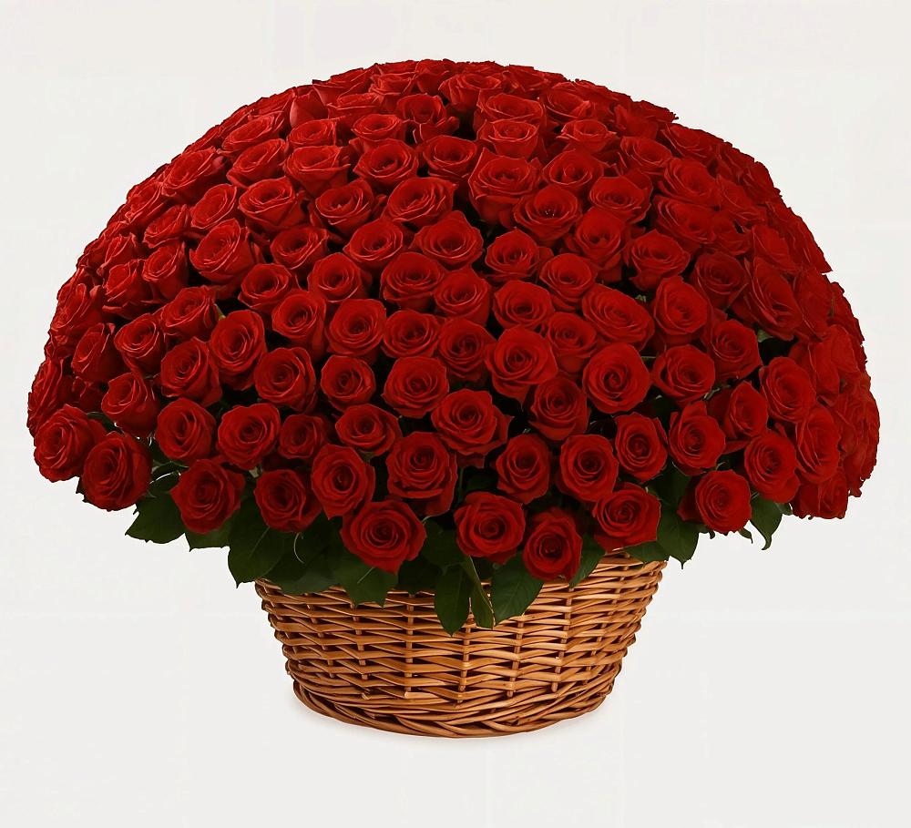 Премиум букет из: Розы в Журавлёвке