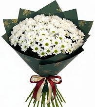 Букет цветов из:  Хризантемы #REPLACE_PRED# Журавлёвке