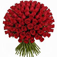 Букет Красные розы Чери Лав в Журавлёвке